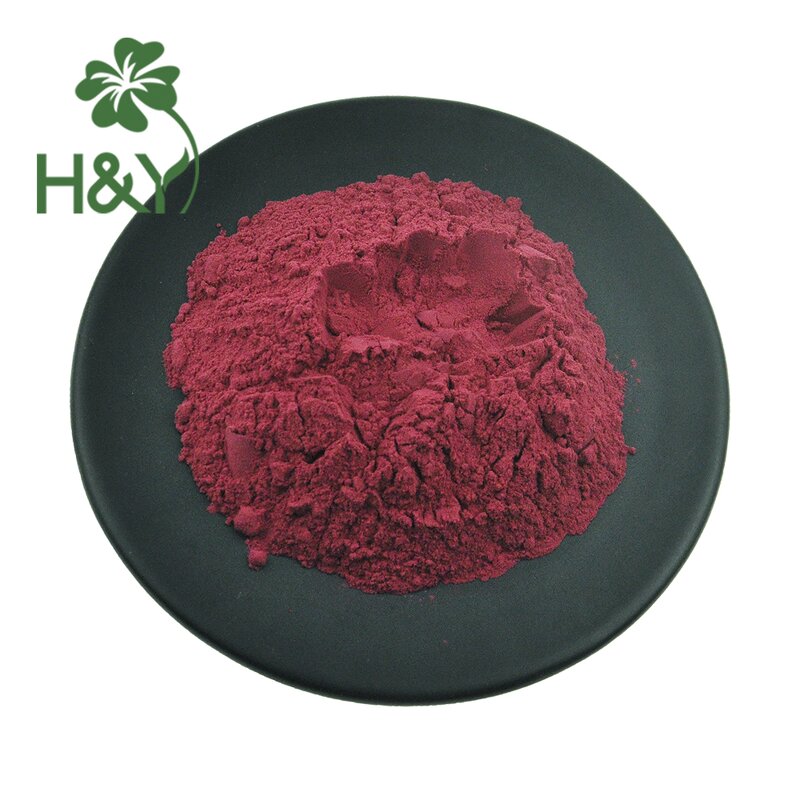 Cactus Fruit Extract Manufacturer - Customized Prickly Pear Hoodia Juice Red Extract Powder