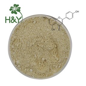 Apigenin Extract Powder Manufacturer - Apigenin98% Apigenin Supplement Powder