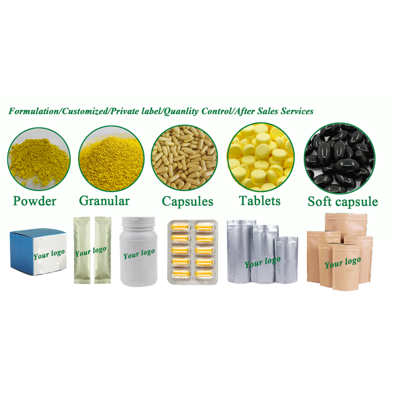 Ashitaba Extract Powder Manufacturer - 100% Pure Natural 10:1 Angelica Keiskei Extract