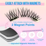 Magnetic Eyelashes