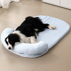 Pet Bed Manufacturer - Cat Bed - Kittens Use - Cat Bed Design