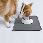 Pet Bowls & Feeders