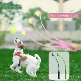 Pet Toy Manufacturer - Squirrel Design - Modern Style - Bis Certified Supplier