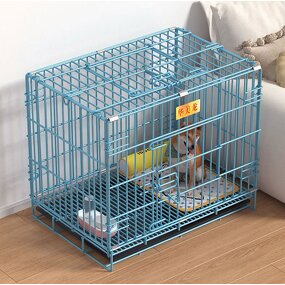 Bird Feeder Manufacturer - Automatic - Bird Feeder - Smart Design