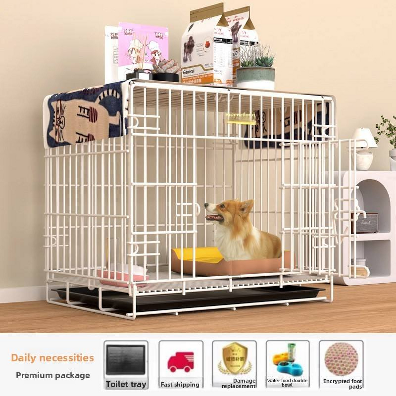 Bird Feeder Manufacturer - Automatic - Bird Feeder - Smart Design