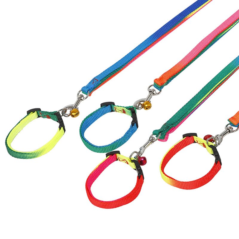 Pet Leash Kit Manufacturer - Complete Set - Dog Leash Accessories
