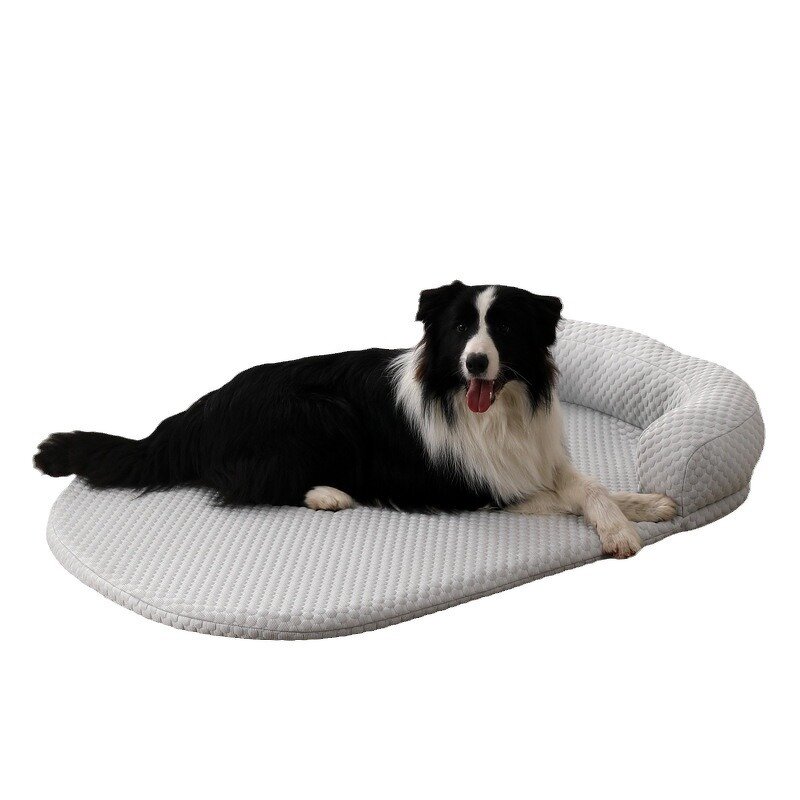 Pet Bed Manufacturer - Cat Bed - Kittens Use - Cat Bed Design