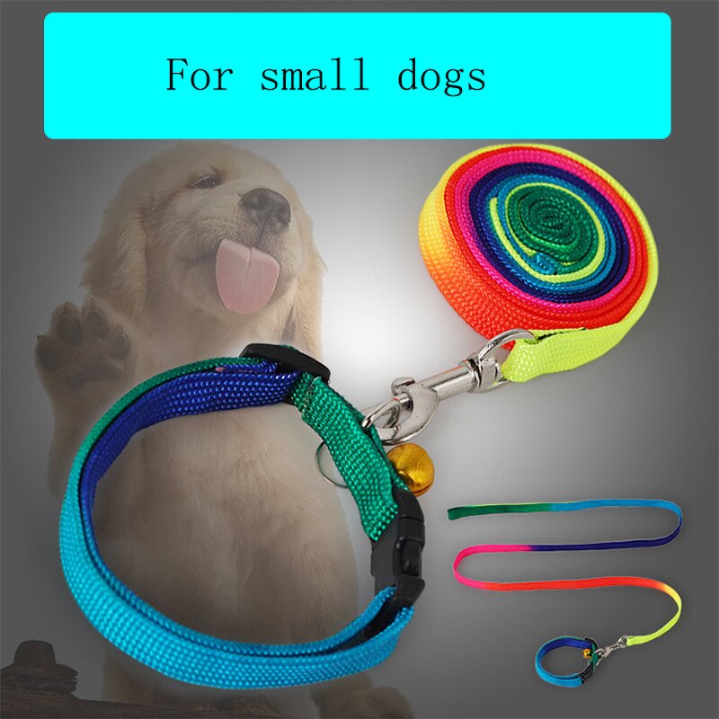 Pet Leash Kit Manufacturer - Complete Set - Dog Leash Accessories