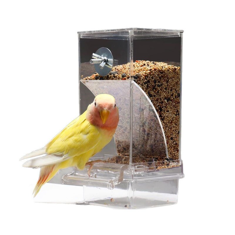 Bird Perch Manufacturer - Bird Perch - Parrot Stand - Bird Supplies