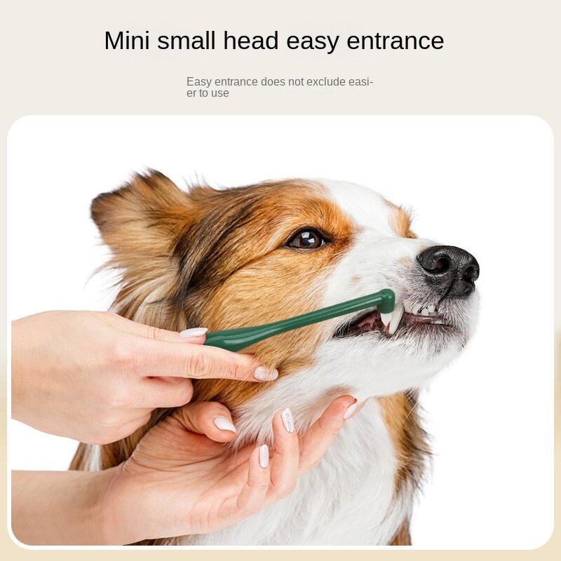 Pet Toothbrush Manufacturer - Finger Design - Cat Dog Dental - Pet Oral Care