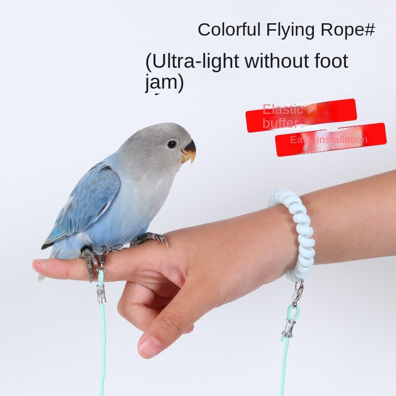 Collar Charm Manufacturer - 10mm DIY Letters - Dog Collar Charms