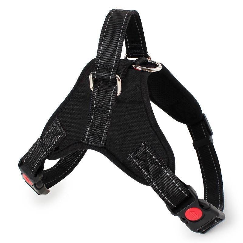 Pet Harness Manufacturer - XS Customizable - OEM Private Label - Nylon Handle