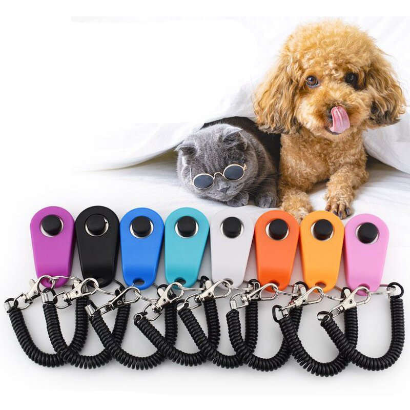 Pet Training Collar Manufacturer - 2 in 1 Remote - 3300ft - Beep Vibrate - Dog