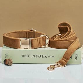 Pet Collar Manufacturer - Lettering Silk Gold - Metal Buckle - Velvet Dog Collar