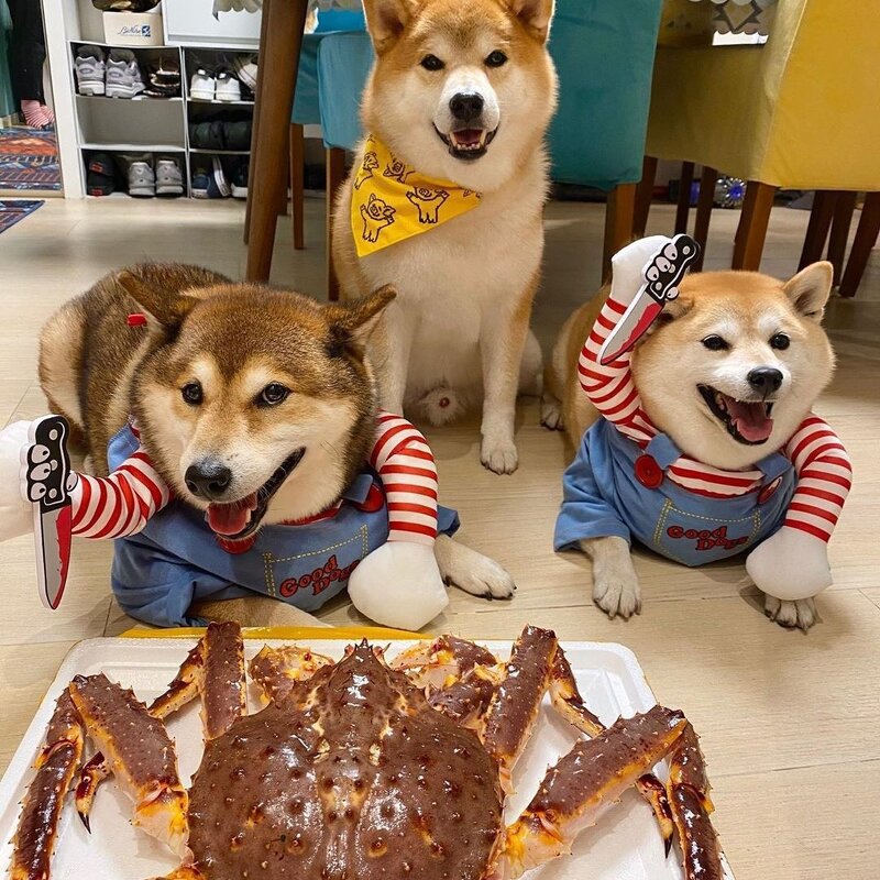 Pet Bandana Manufacturer - PU+Polyester - Halloween - Cat Collar Bandana