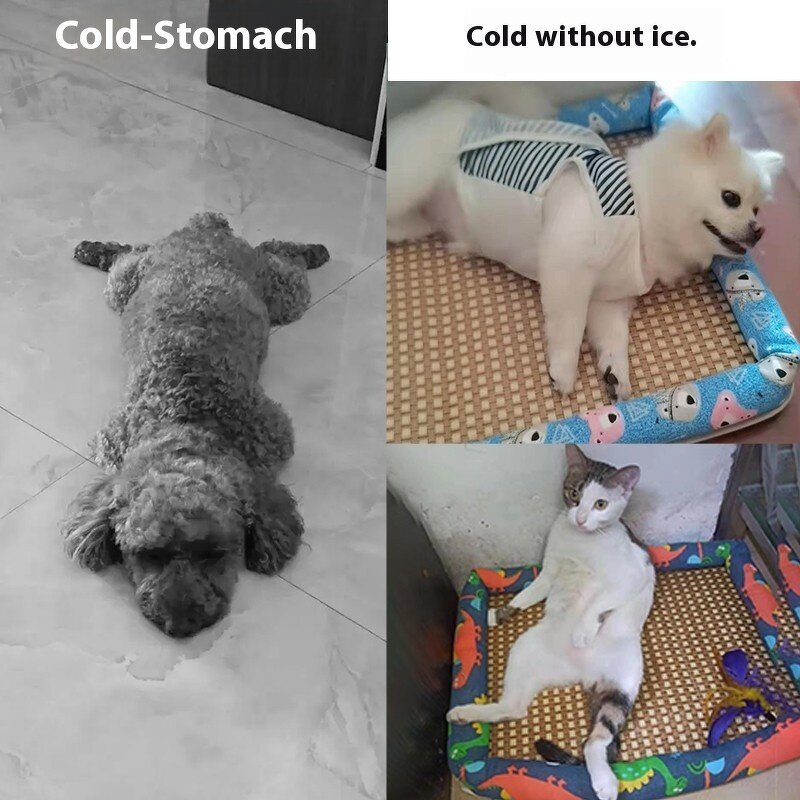 Pet Bed Manufacturer - Back Fleecy Car Seat - Luxury - Cat Dog Car Bed