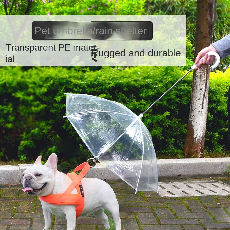 Wholesale Pet Cat Dog Umbrella with Leash for Pet