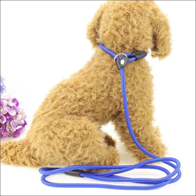 Pet Dog Leash Manufacturer - No Pull Training - Nylon Rope - Bulk Slip Lead