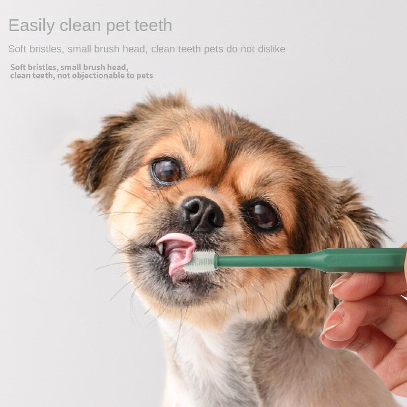 Pet Toothbrush Manufacturer - 360 Degree - Bulk Pet Cat Dog - Dental Cleaning