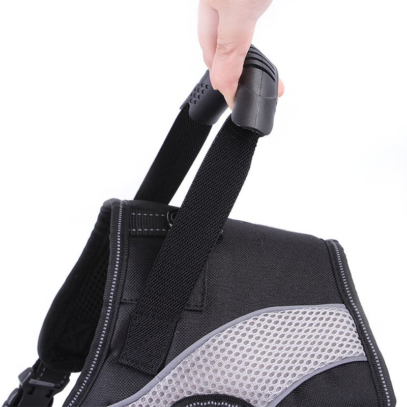 Pet Comb Set Manufacturer - Cat Dog Grooming - Complete Comb Set