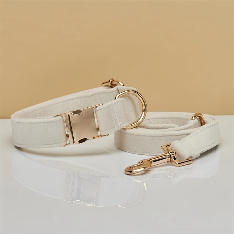 Pet Collar Manufacturer - Lettering Silk Gold - Metal Buckle - Velvet Dog Collar
