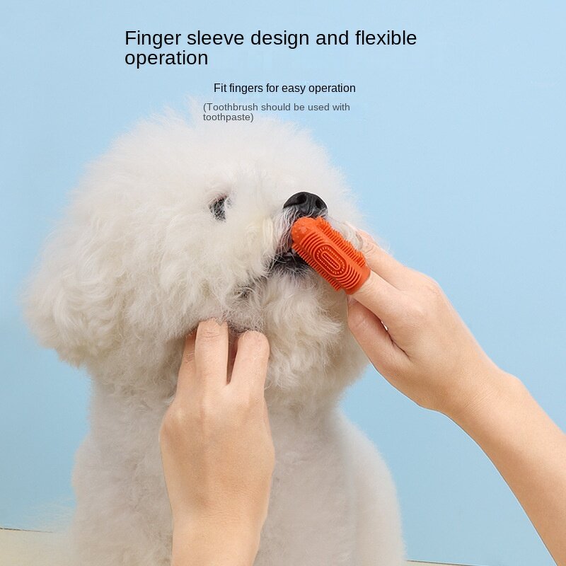 Pet Toothbrush Manufacturer - Cat Dog Dental - Pet Oral Care - High Quality