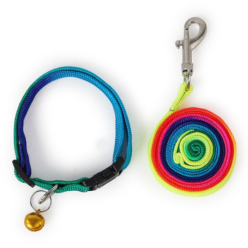 Pet Leash Kit Manufacturer - Complete Set - Dog Leash Accessories