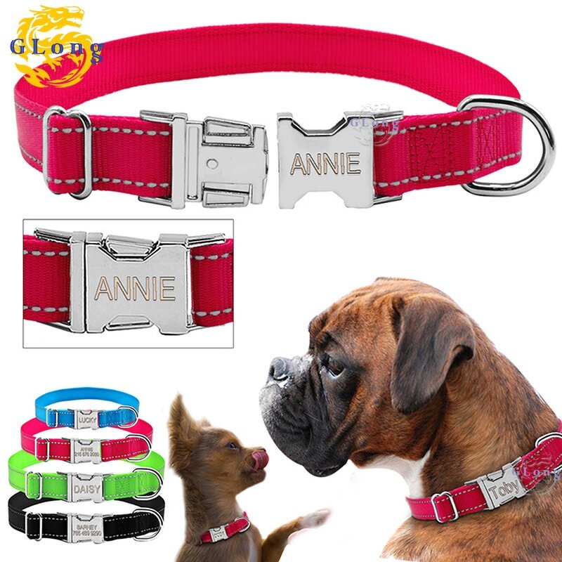 Pet Umbrella Manufacturer - Cat Dog Umbrella - With Leash - Pet Use