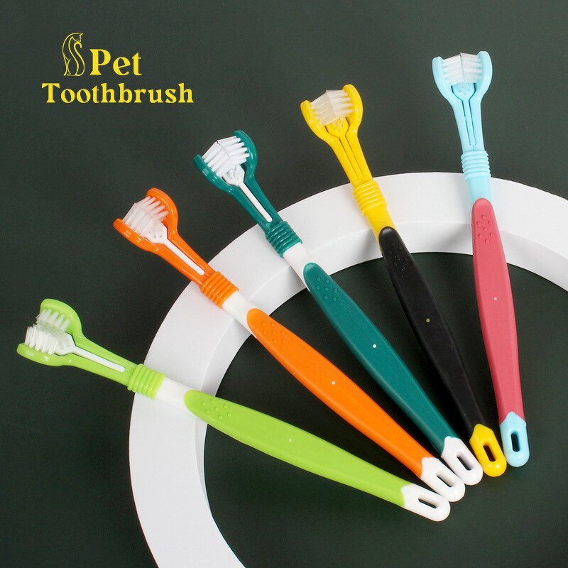 Pet Toy Manufacturer - TPR Molar Chew - Teeth Cleaning - Dog Chew Toy