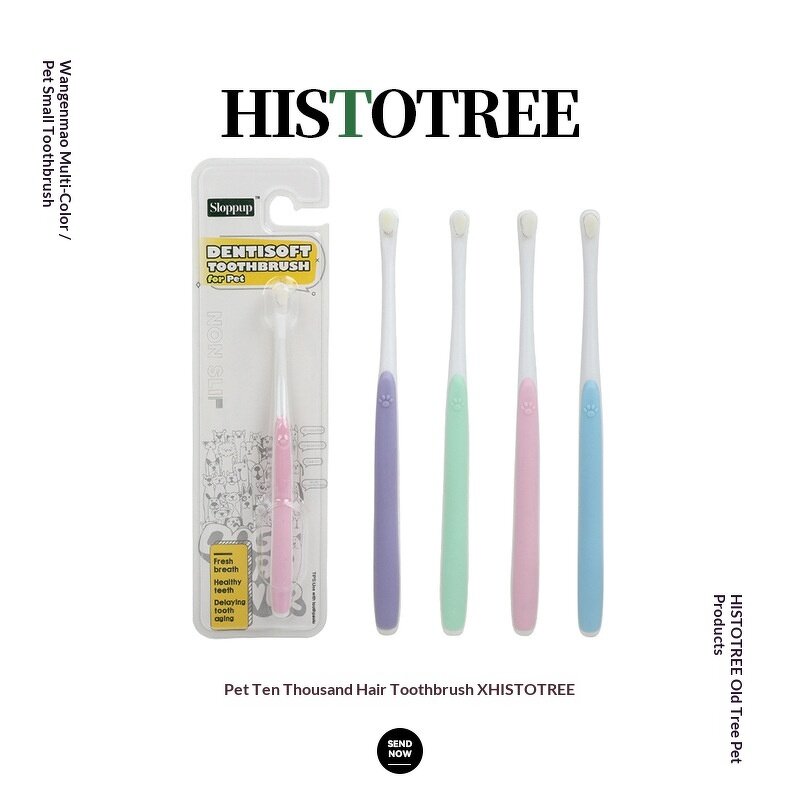 Pet Toothbrush Manufacturer - Dual Head - Cat Dog Dental - Pet Oral Care