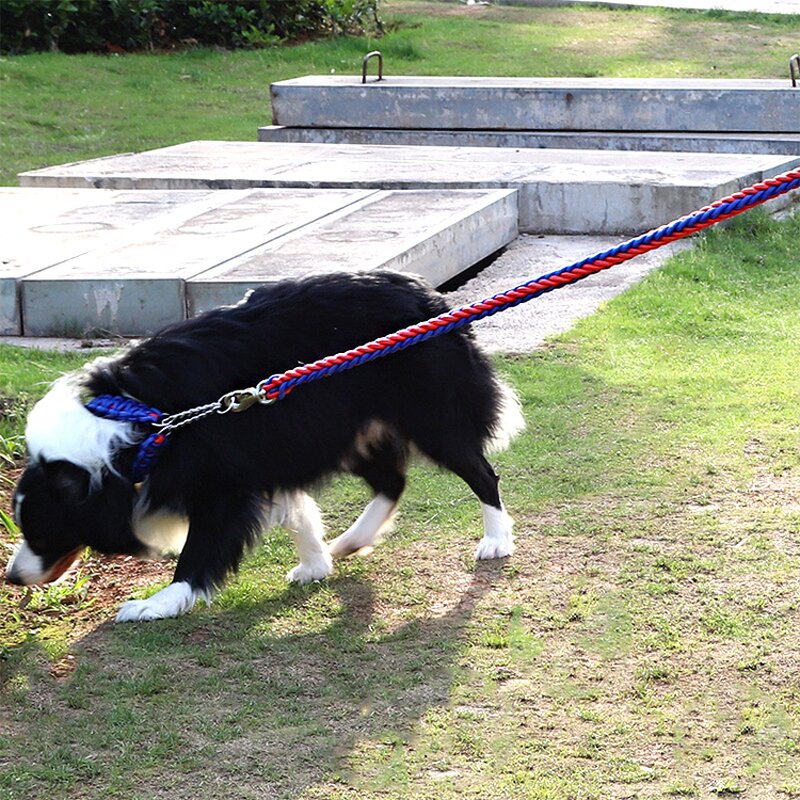 Pet Leash Manufacturer - Reflective Nylon - Dog Leads - Night Safety