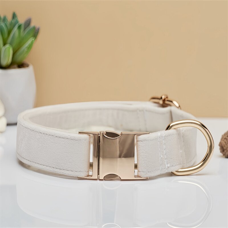 Pet Collar Manufacturer - Lettering Silk Gold - Metal Buckle - Velvet Dog Collar