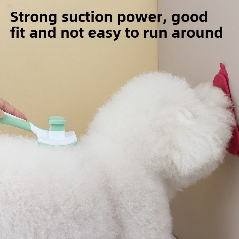 Pet Scoop Manufacturer - Plastic - Cat Dog Food - Pet Food Scoop