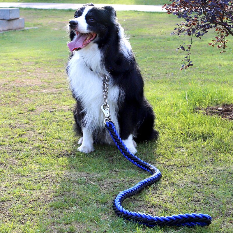 Pet Leash Manufacturer - Reflective Nylon - Dog Leads - Night Safety