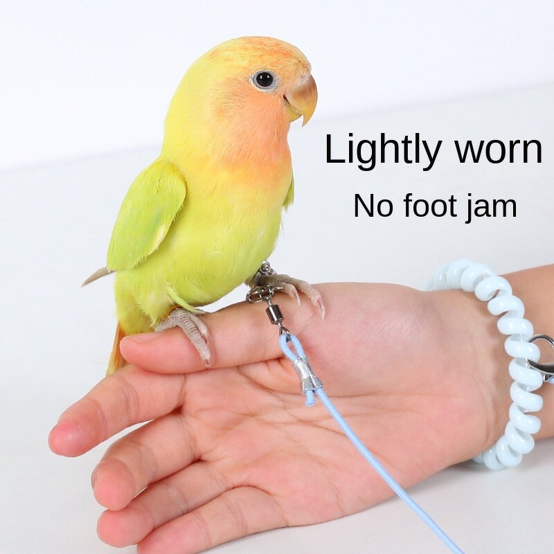 Collar Charm Manufacturer - 10mm DIY Letters - Dog Collar Charms