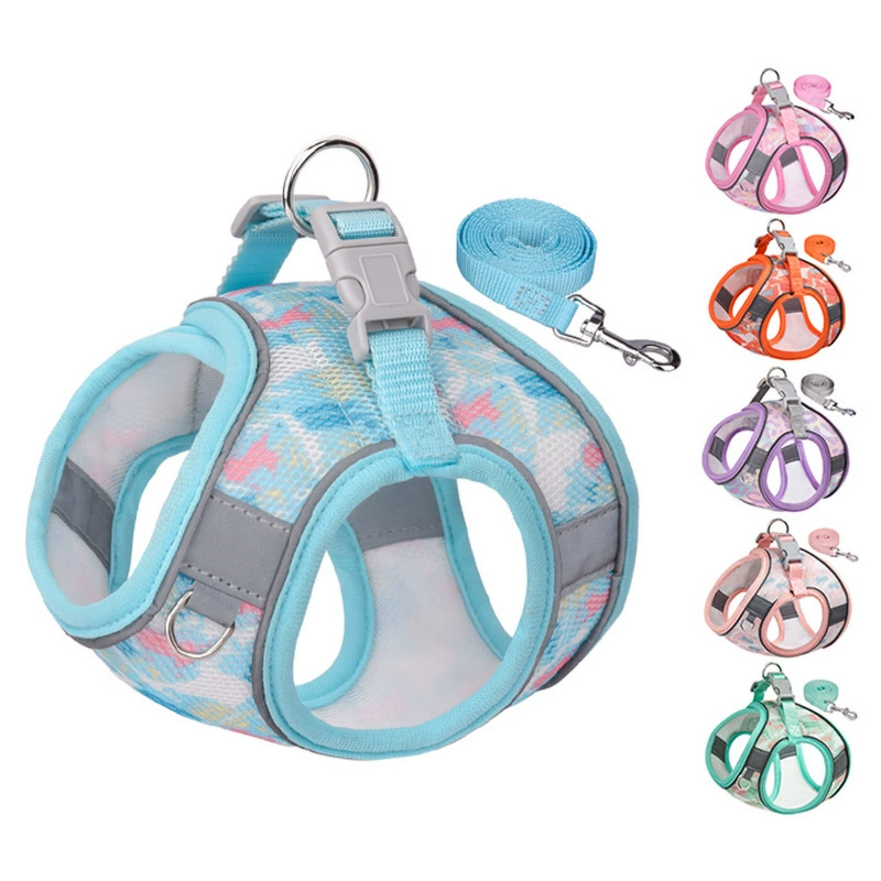 Pet Harness Manufacturer - Breathable Mesh - Small Pattern Teddy - Dog Use