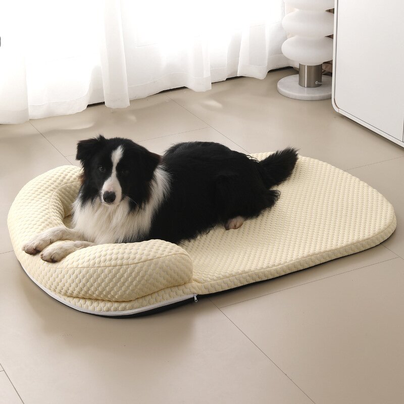 Pet Bed Manufacturer - Cat Bed - Kittens Use - Cat Bed Design
