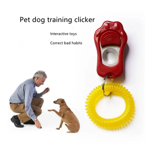 Pet Training Collar Manufacturer - Electric Shocker - E-collar - Dog Training