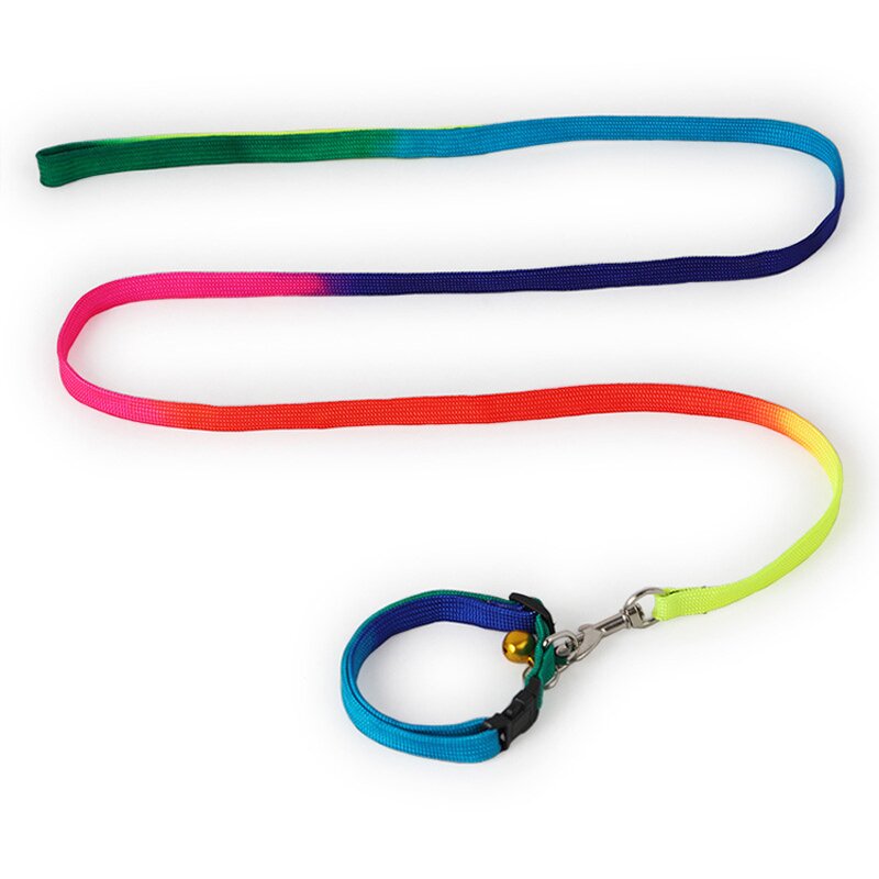 Pet Leash Kit Manufacturer - Complete Set - Dog Leash Accessories