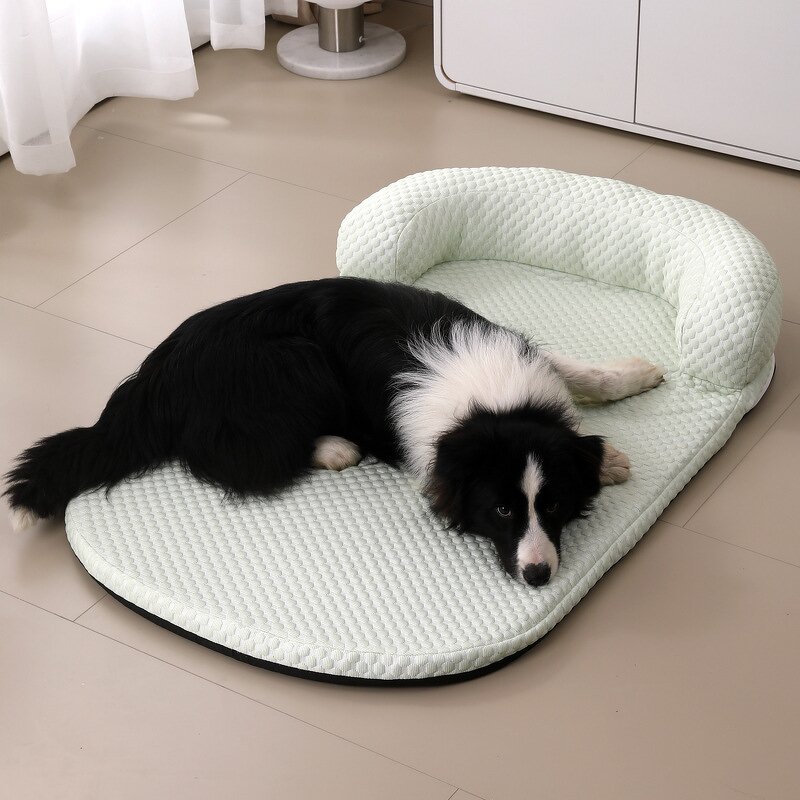 Pet Bed Manufacturer - Cat Bed - Kittens Use - Cat Bed Design
