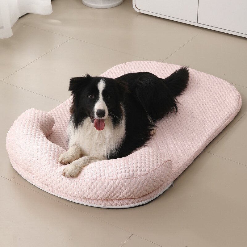 Pet Bed Manufacturer - Cat Bed - Kittens Use - Cat Bed Design