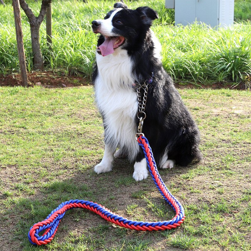 Pet Leash Manufacturer - Reflective Nylon - Dog Leads - Night Safety
