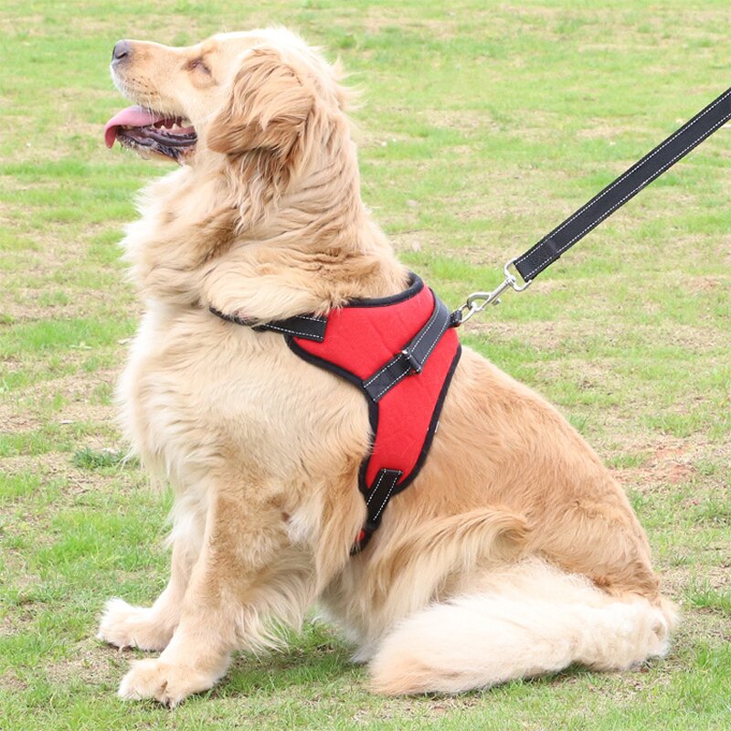 Pet Harness Manufacturer - XS Customizable - OEM Private Label - Nylon Handle
