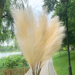 Artificial Pampas Grass Manufacturer - High Quality 100cm 39 Inch Pink White Beige for Shop Art Gallery