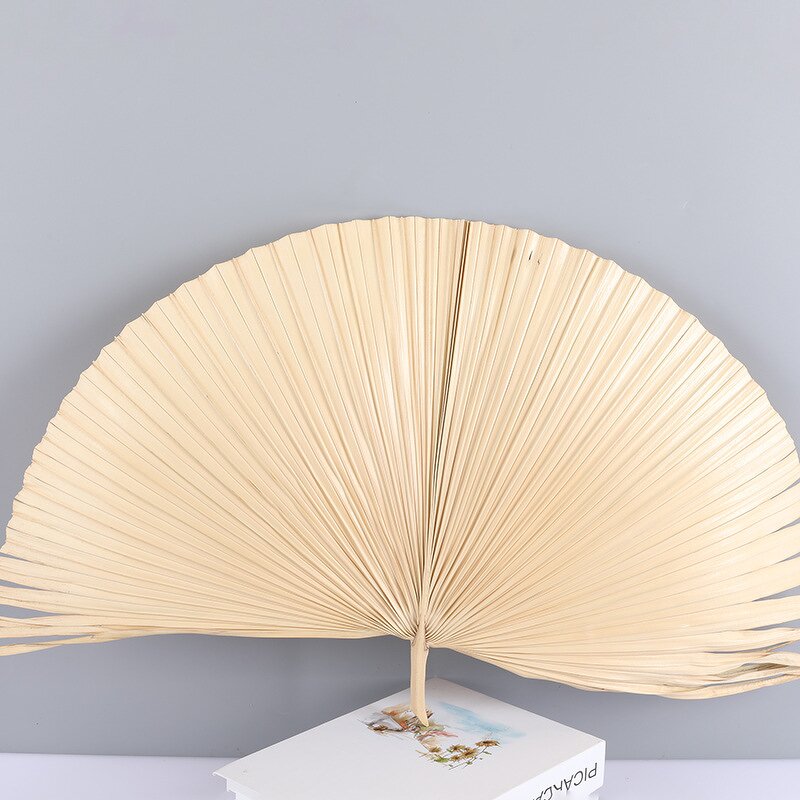 Artificial Dried Palm Leaves Manufacturer - Preserved Leaf for Scene Decoration