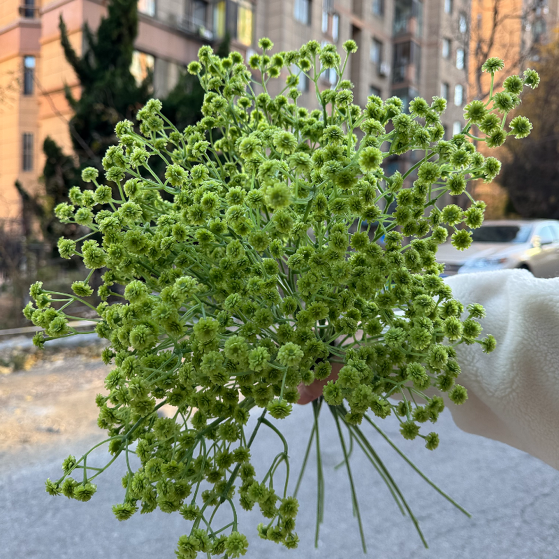 Artificial Gypsophila Flowers Manufacturer - Real Touch Babysbreath Latex Big Head White