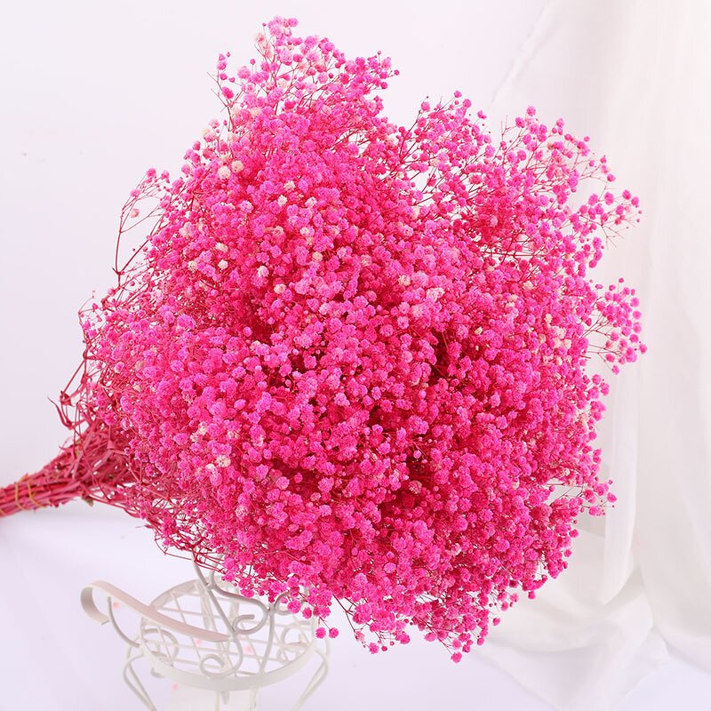 Dried Babysbreath Flower Manufacturer - Preserved Gypsophila for Wedding