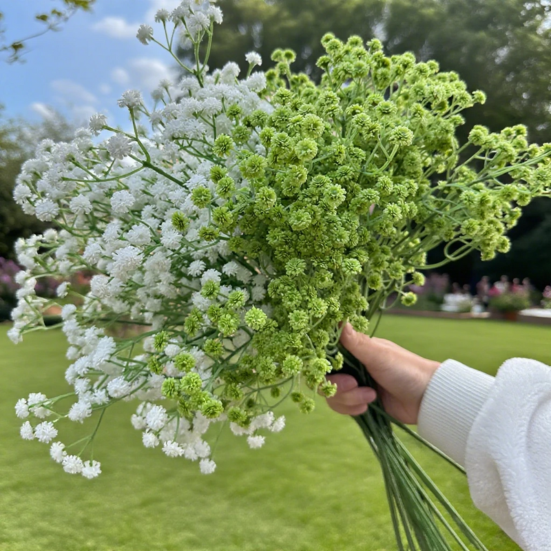 Artificial Baby's Breath Manufacturer - Dalian Chermy Real Touch Latex for Wedding Decoration