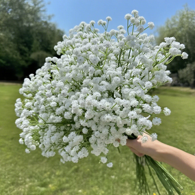 Artificial Baby's Breath Manufacturer - Dalian Chermy Real Touch Latex for Wedding Decoration