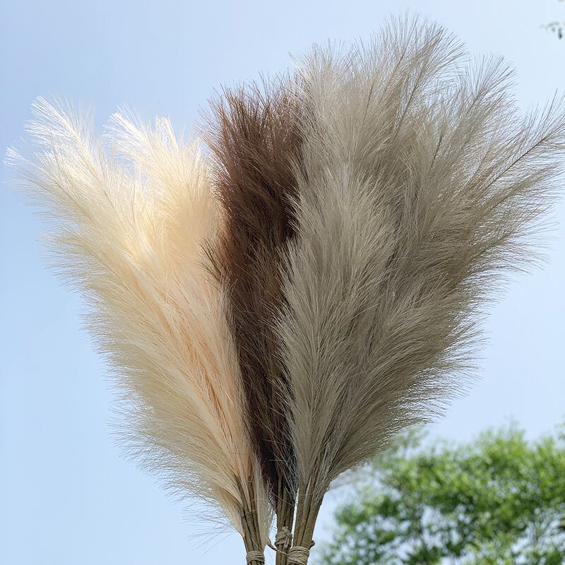 Artificial Pampas Grass Manufacturer - Hot Sale for Wedding Flowers Decoration